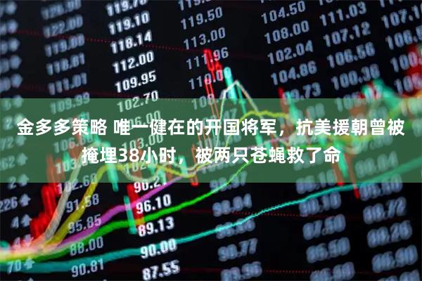 金多多策略 唯一健在的开国将军，抗美援朝曾被掩埋38小时，被两只苍蝇救了命