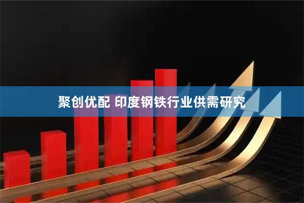 聚创优配 印度钢铁行业供需研究