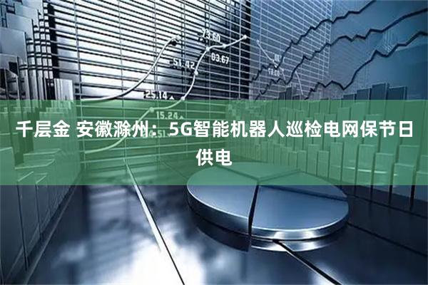 千层金 安徽滁州：5G智能机器人巡检电网保节日供电