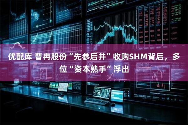 优配库 普冉股份“先参后并”收购SHM背后，多位“资本熟手”浮出