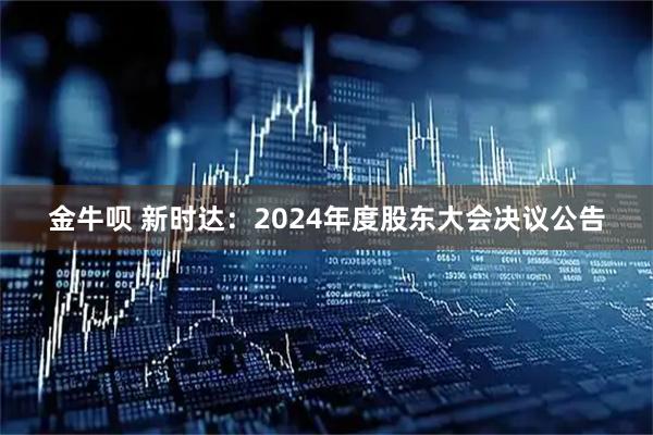 金牛呗 新时达：2024年度股东大会决议公告
