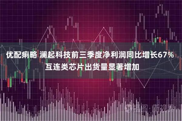 优配痢略 澜起科技前三季度净利润同比增长67%  互连类芯片出货量显著增加