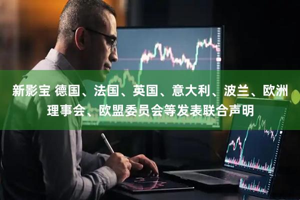 新影宝 德国、法国、英国、意大利、波兰、欧洲理事会、欧盟委员会等发表联合声明