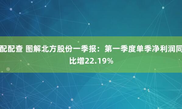 配配查 图解北方股份一季报：第一季度单季净利润同比增22.19%