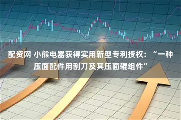 配资网 小熊电器获得实用新型专利授权：“一种压面配件用刮刀及其压面辊组件”