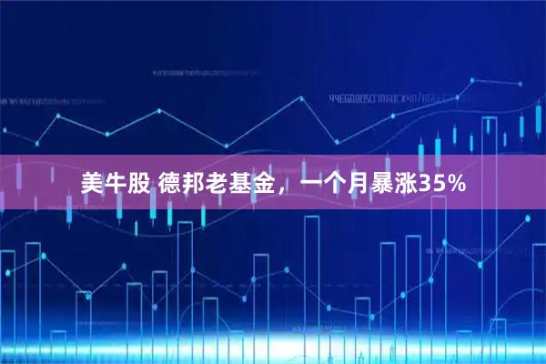 美牛股 德邦老基金，一个月暴涨35%