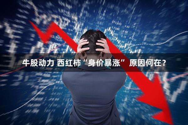 牛股动力 西红柿“身价暴涨” 原因何在？