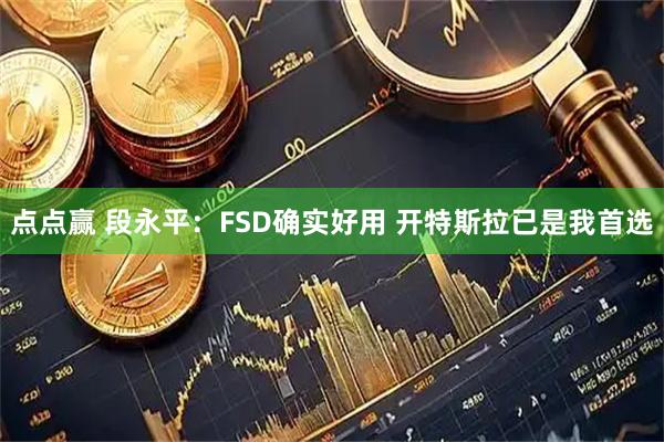 点点赢 段永平：FSD确实好用 开特斯拉已是我首选