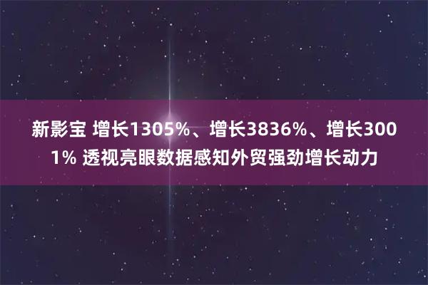新影宝 增长1305%、增长3836%、增长3001% 透视亮眼数据感知外贸强劲增长动力