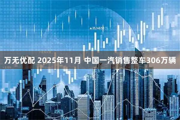万无优配 2025年11月 中国一汽销售整车306万辆