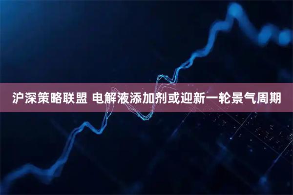 沪深策略联盟 电解液添加剂或迎新一轮景气周期