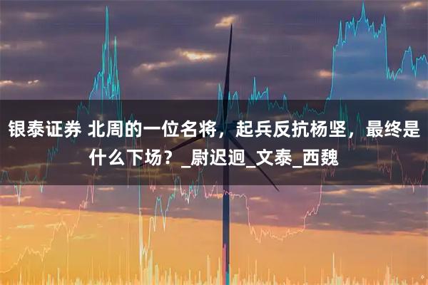 银泰证券 北周的一位名将，起兵反抗杨坚，最终是什么下场？_尉迟迥_文泰_西魏